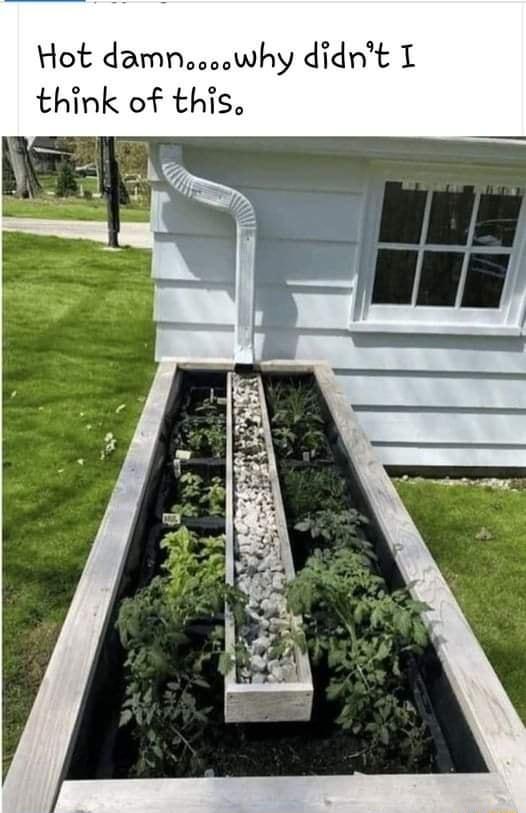 Hot damnwhy didnt T think of this