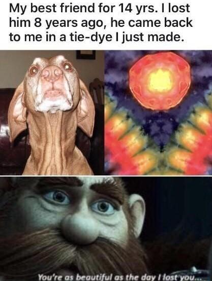 My best friend for 14 yrs lost him 8 years ago he came back to me in a tie dye just made Youre as beoutiful as the day lost you