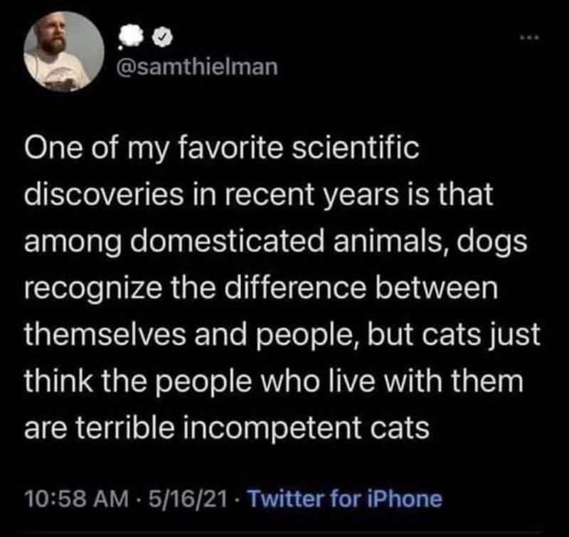 b Edd GEELNGIEED One of my favorite scientific discoveries in recent years is that ElnlelyleRe el ERTIoEI Cle ETaIN E1ENe o1 recognize the difference between themselves and people but cats just think the people who live with them are terrible incompetent cats 1058 AM 51621 Twitter for iPhone