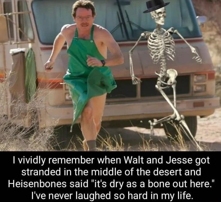 IR 1 remember when Walt and Jesse got stranded in the middle of the desert and Heisenbones said its dry as a bone out here Ive never laughed so hard in my life