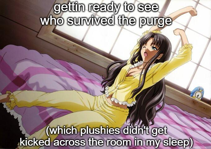 el EECl o S22 o suvivee e pure whlch plushlesxldnt D kicked acrossitheroom inimyzsleep