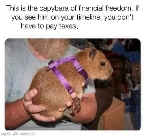 This is the capybara of financial freedom If you see him on your timeline you dont have to pay taxes