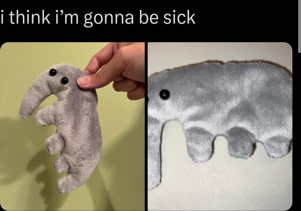 i think im gonna be sick