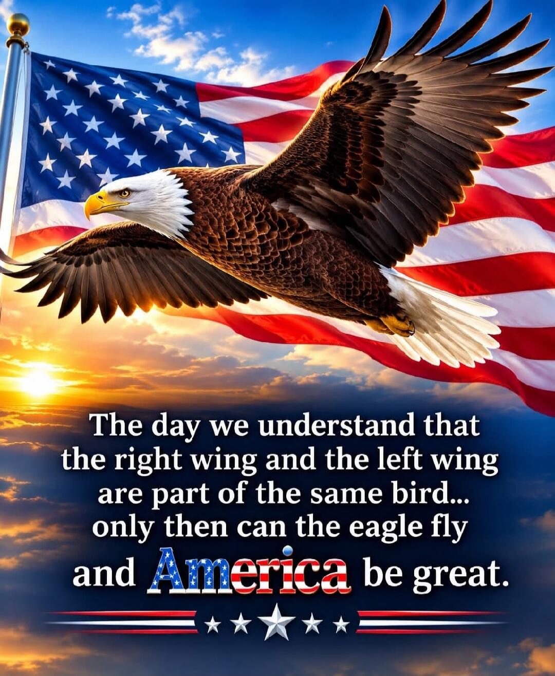 The day we understand that the right wing and the left wing are part of the same bird... only then can the eagle fly and America be great.