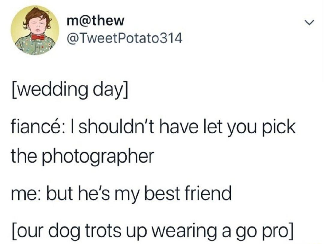 [wedding day]
fiancé: I shouldn't have let you pick the photographer
me: but he's my best friend
[our dog trots up wearing a go pro]