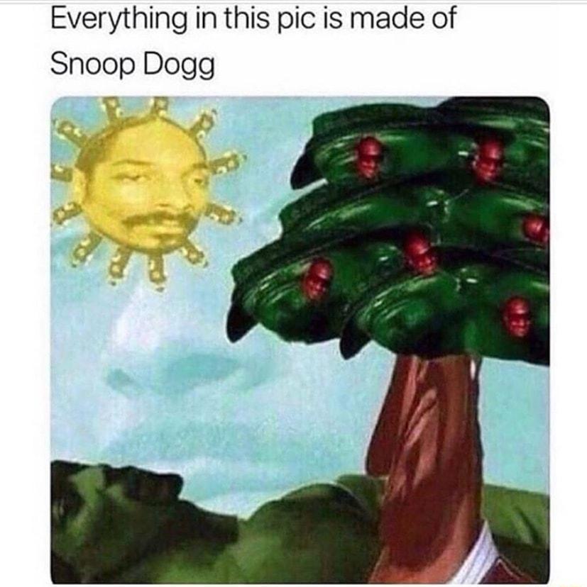 Everything in this pic is made of Snoop Dogg