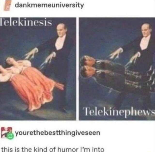 dankmemeuniversity inesis g