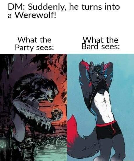DM Suddenly he turns into a Werewolf What the Pglt the Party sees I sees