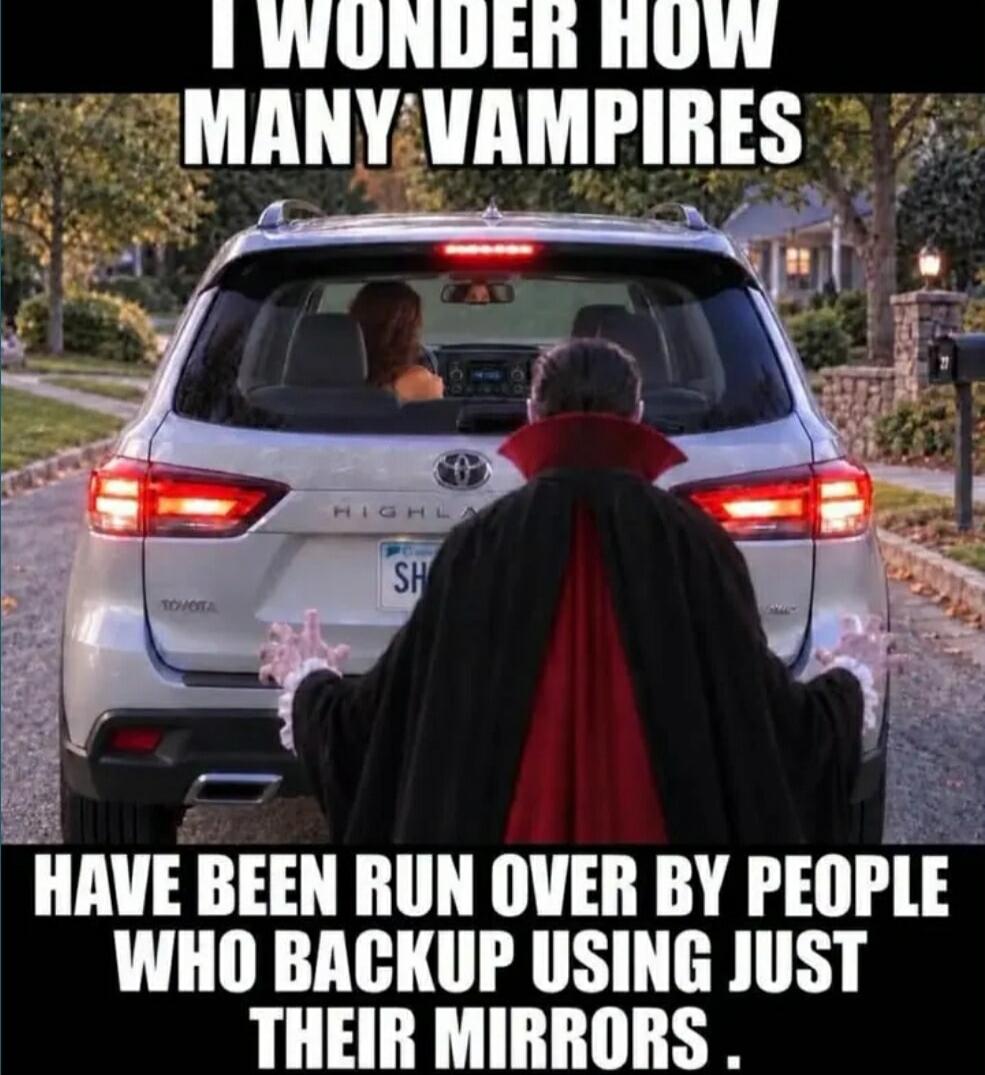 I WONDER HOW MANY VAMPIRES HAVE BEEN RUN OVER BY PEOPLE WHO BACKUP USING JUST THEIR MIRRORS.