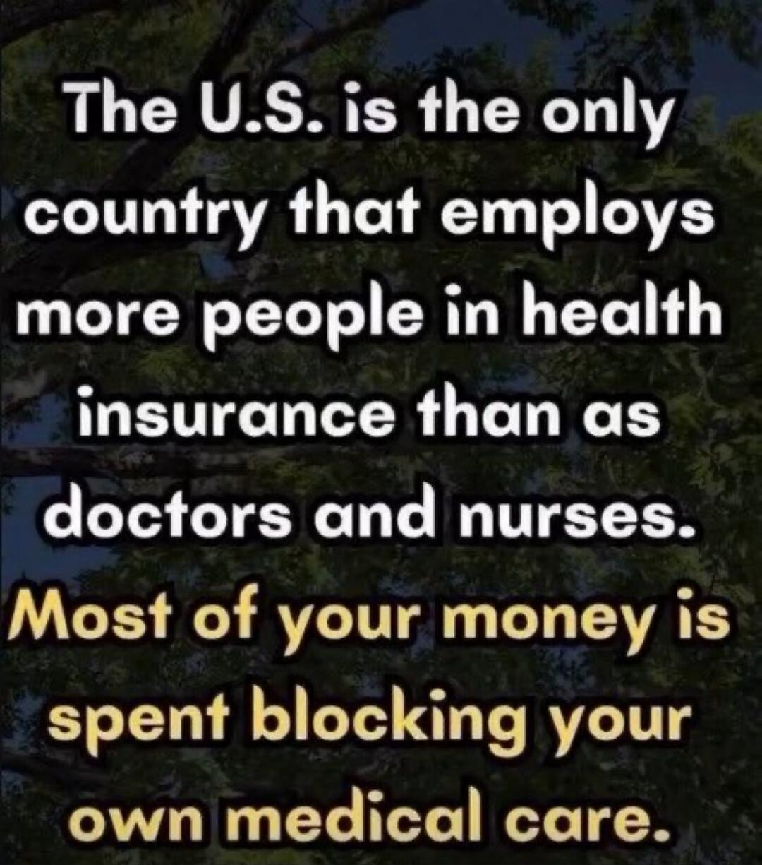 The U.S. is the only country that employs more people in health insurance than as doctors and nurses. Most of your money is spent blocking your own medical care.