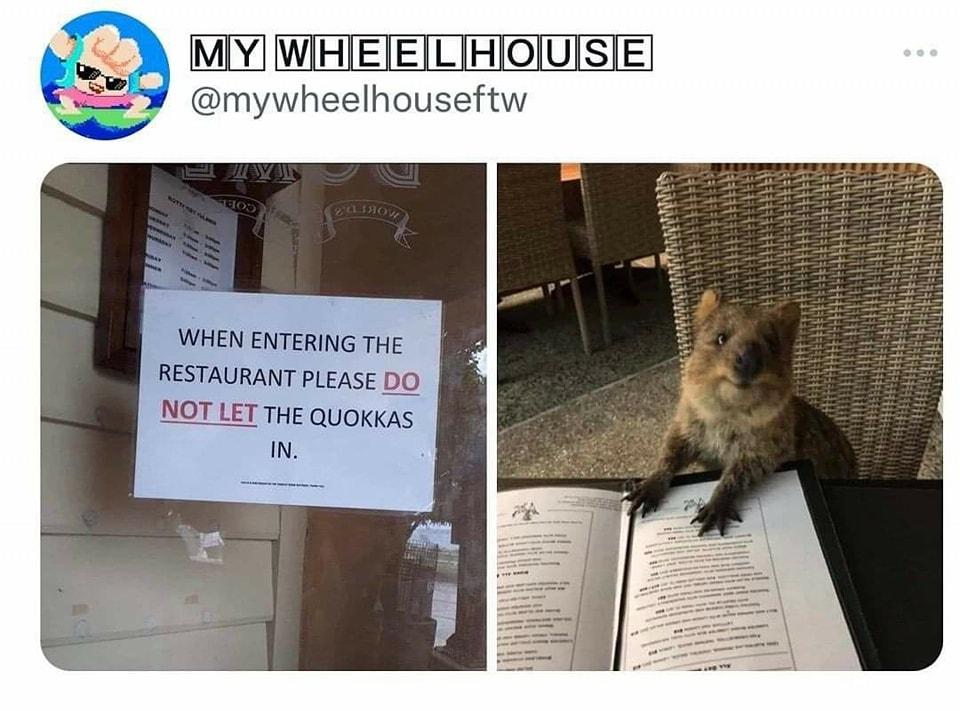 WIHIEIEILTHIOIUISIE WHEN ENTERING THe RESTAURANT PLEASE DO NOT LET THE QuOKKAs