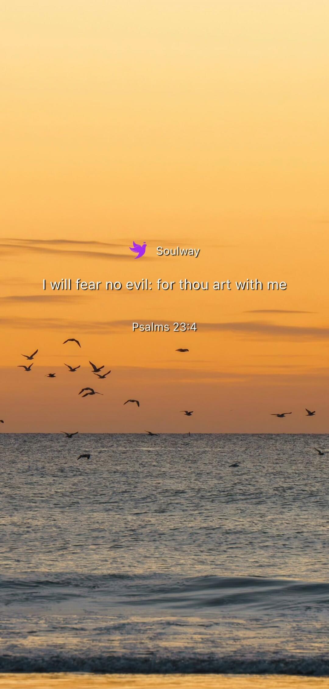 Soulway
I will fear no evil: for thou art with me
Psalms 23:4
