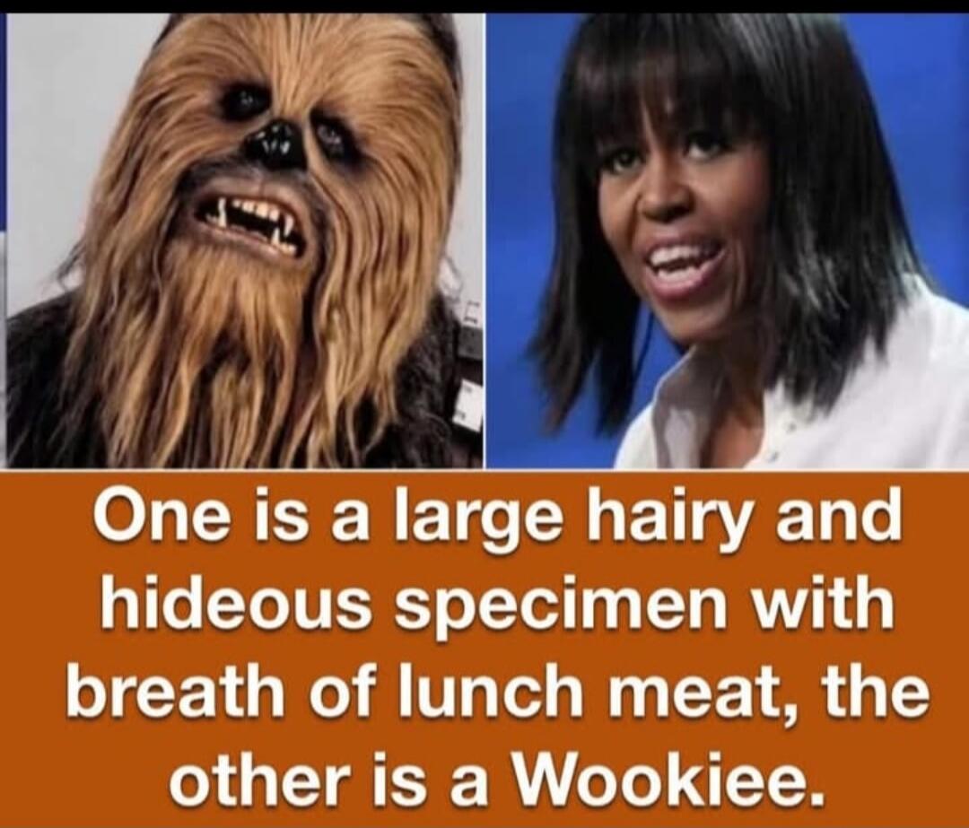 One is a large hairy and hideous specimen with breath of lunch meat, the other is a Wookiee.