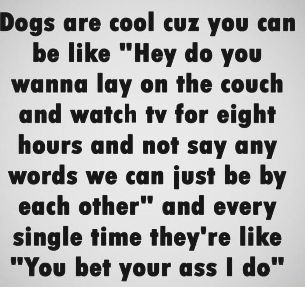 Dogs are cool cuz you can be like Hey do you wanna lay on the couch and watch tv for eight hours and not say any words we can just be by each other and every single time theyre like You bet your ass do