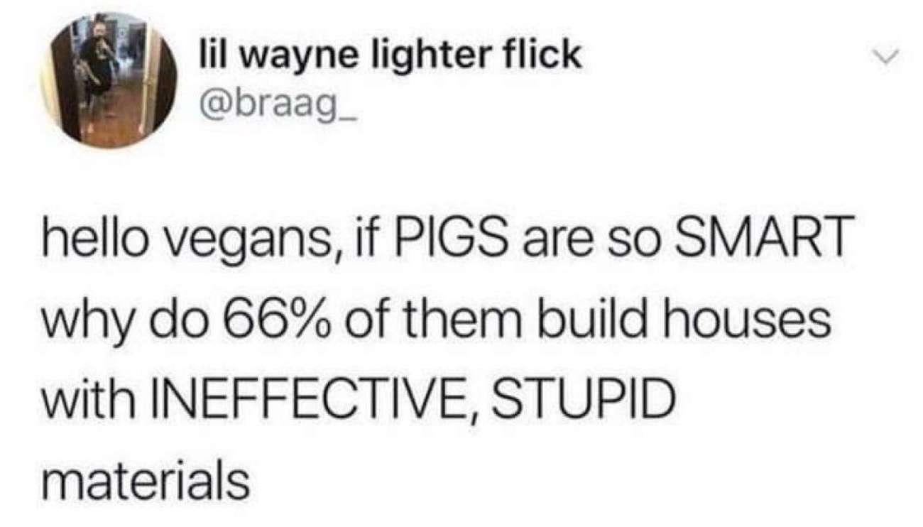 lil wayne lighter flick braag_ hello vegans if PIGS are so SMART why do 66 of them build houses with INEFFECTIVE STUPID materials