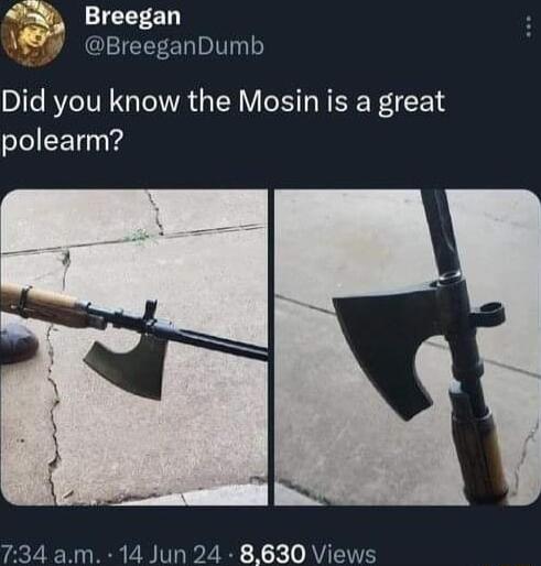 oy 5 Breegan W BreeganDumb Did you know the Mosin is a great polearm 734 am 14 Jun 24 8630 Views