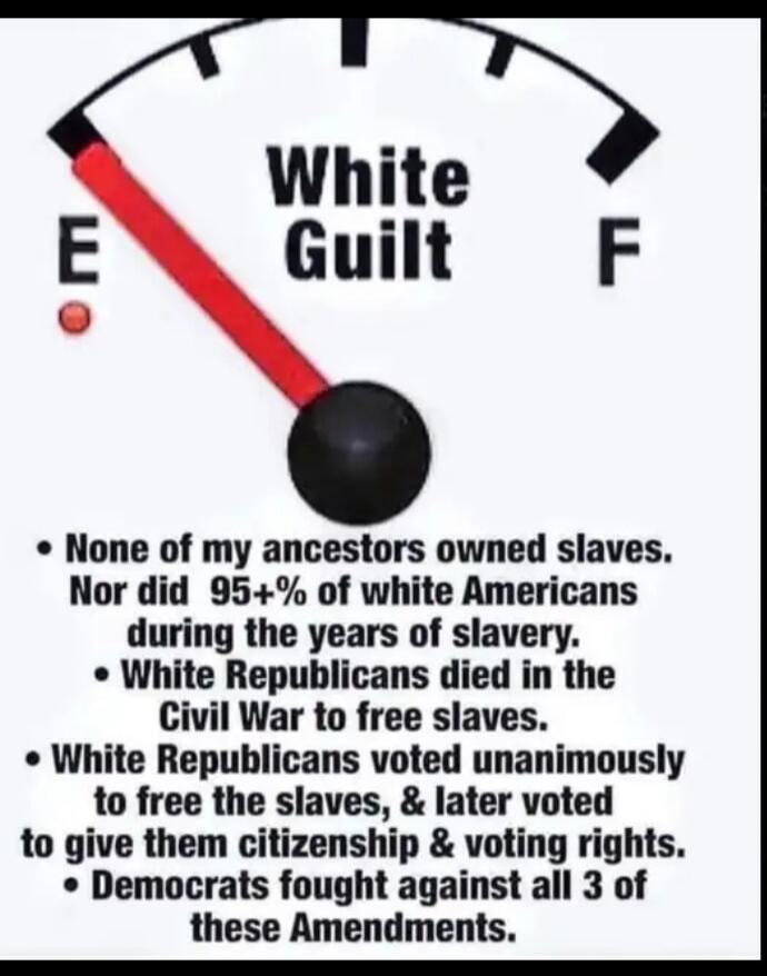 White Guilt\n• None of my ancestors owned slaves.\nNor did 95+% of white Americans during the years of slavery.\n• White Republicans died in the Civil War to free slaves.\n• White Republicans voted unanimously to free the slaves, & later voted to give them citizenship & voting rights.\n• Democrats fought against all 3 of these Amendments.