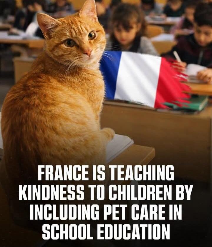 FRANCE IS TEACHING KINDNESS TO CHILDREN BY INCLUDING PET CARE IN SCHOOL EDUCATION
