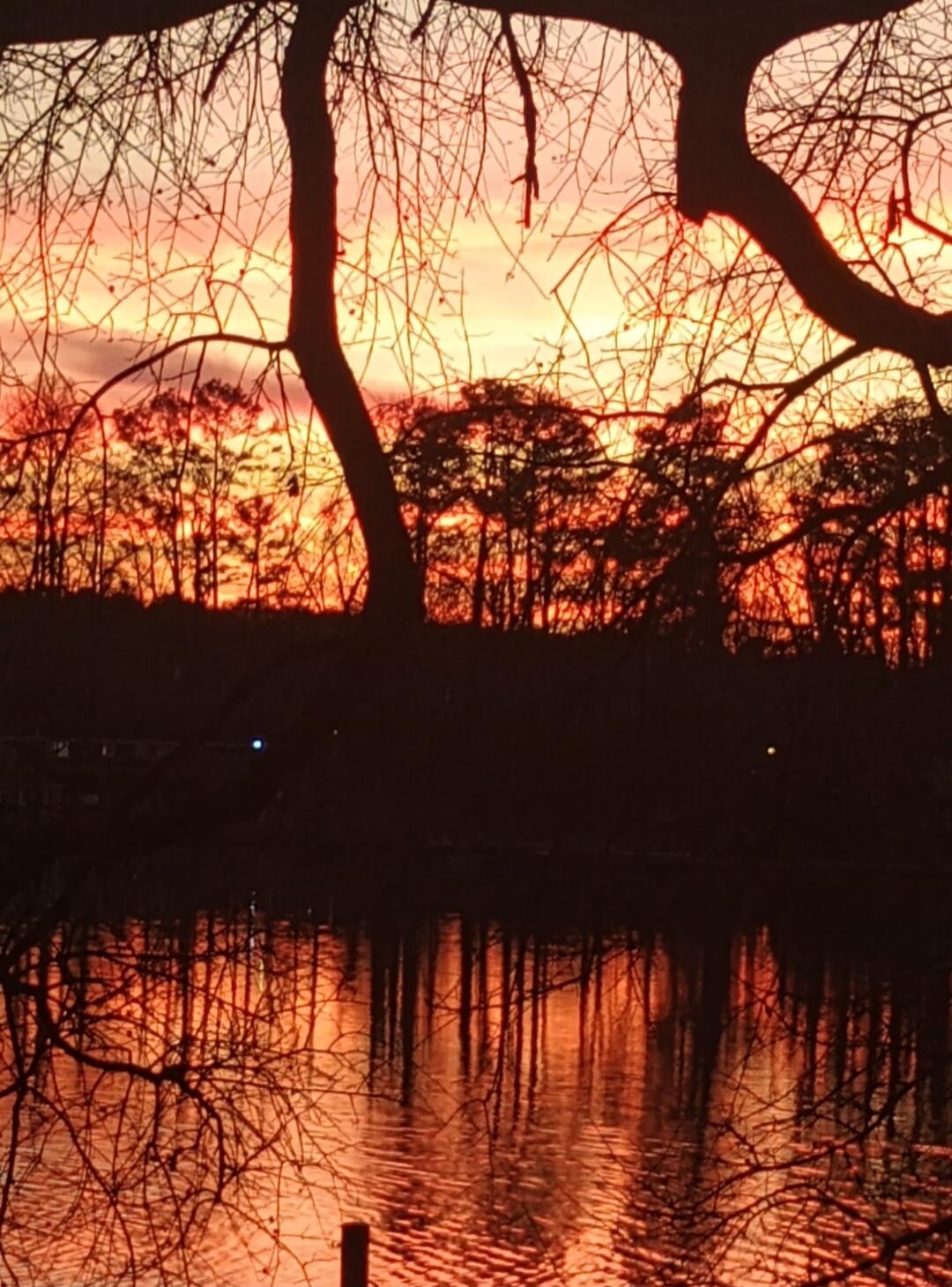 Session ID: 1092013.