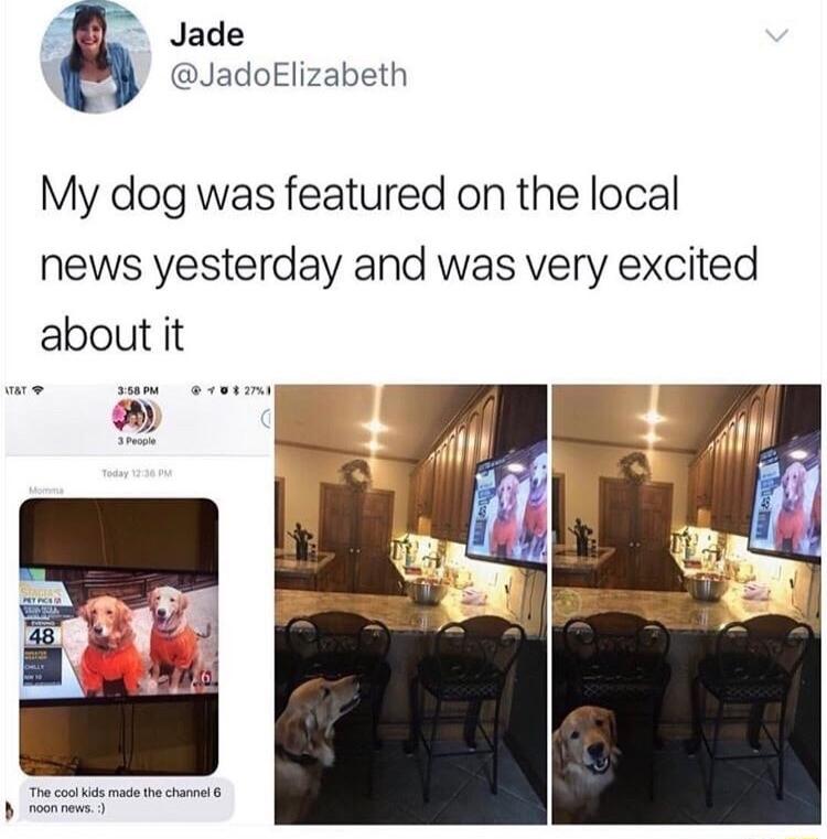 5 Jade JadoElizabeth My dog was featured on the local news yesterday and was very excited about it