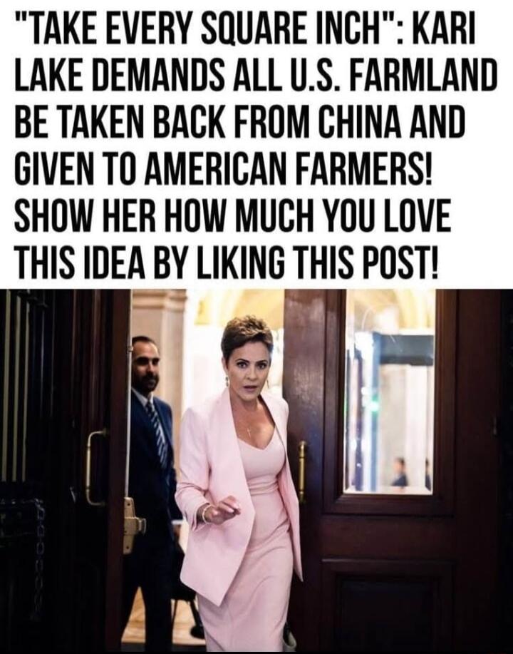 TAKE EVERY SQUARE INCH KARI LAKE DEMANDS ALL US FARMLAND BE TAKEN BACK FROM CHINA AND GIVEN TO AMERICAN FARMERS SHOW HER HOW MUCH YOU LOVE THIS IDEA B LIKING THIS POST nl