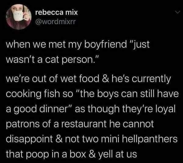 rebecca mix R 4 wordmixrr when we met my boyfriend just wasnt a cat person were out of wet food hes currently cooking fish so the boys can still have F Nelolelo KellalalcImi I R ialel o aRta VA LR OYZ patrons of a restaurant he cannot oSETo ool lpi Walo1a oM nalIalNalloETRIR LIRS that poop in a box yell at us
