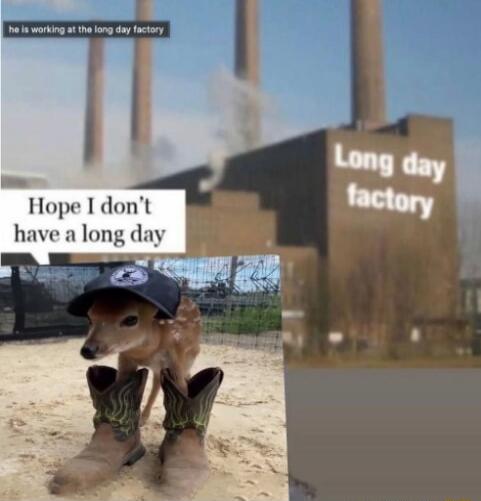 Hope I don't have a long day
Long day factory
he is working at the long day factory