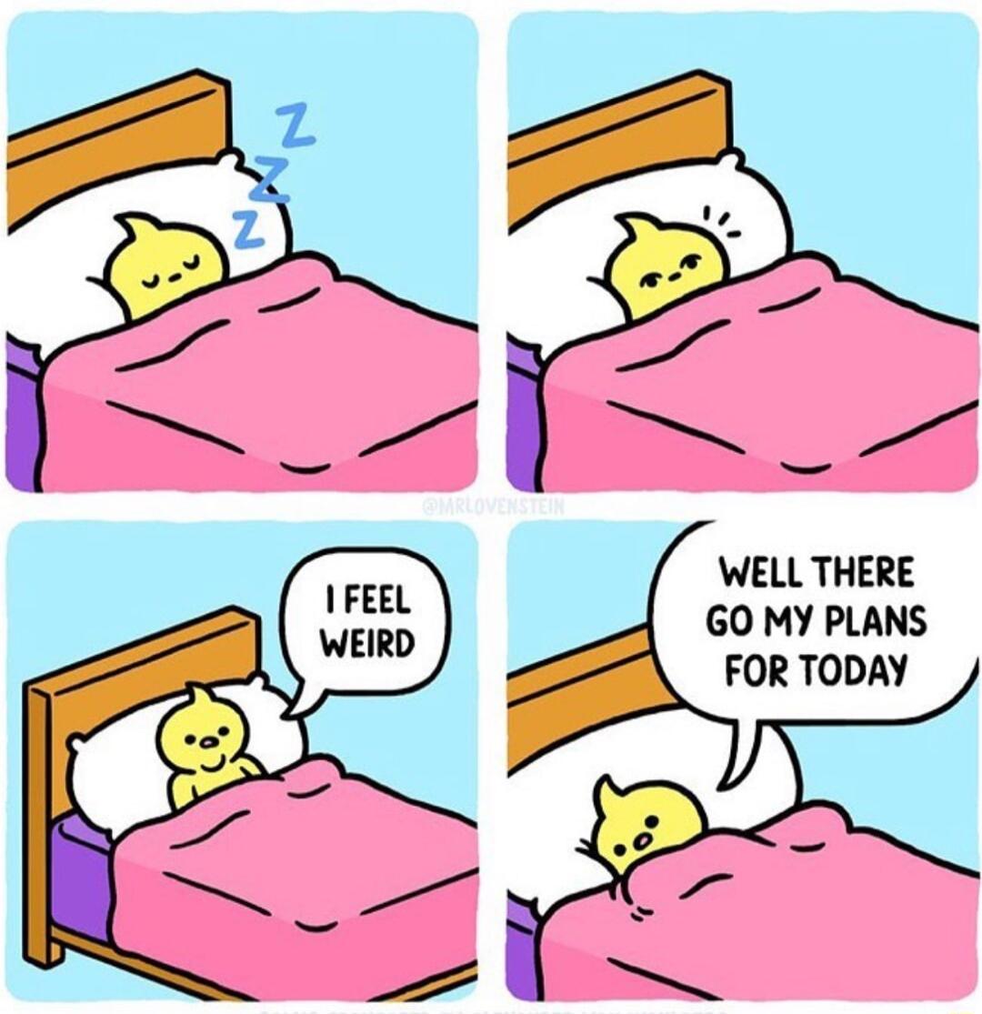 WELL THERE GO MY PLANS FOR TODAY