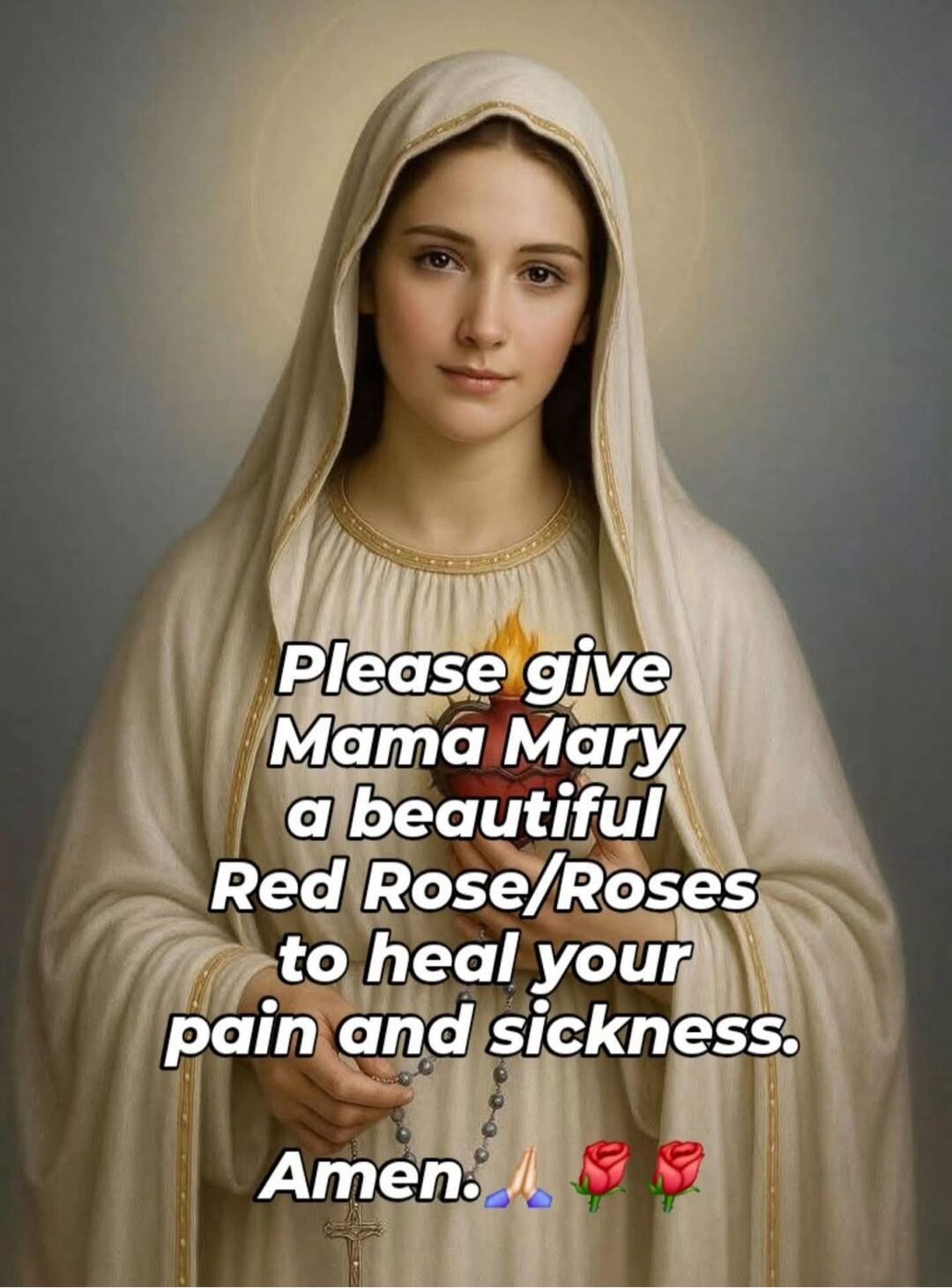 Please give Mama Mary a beautiful Red Rose/Roses to heal your pain and sickness. Amen.