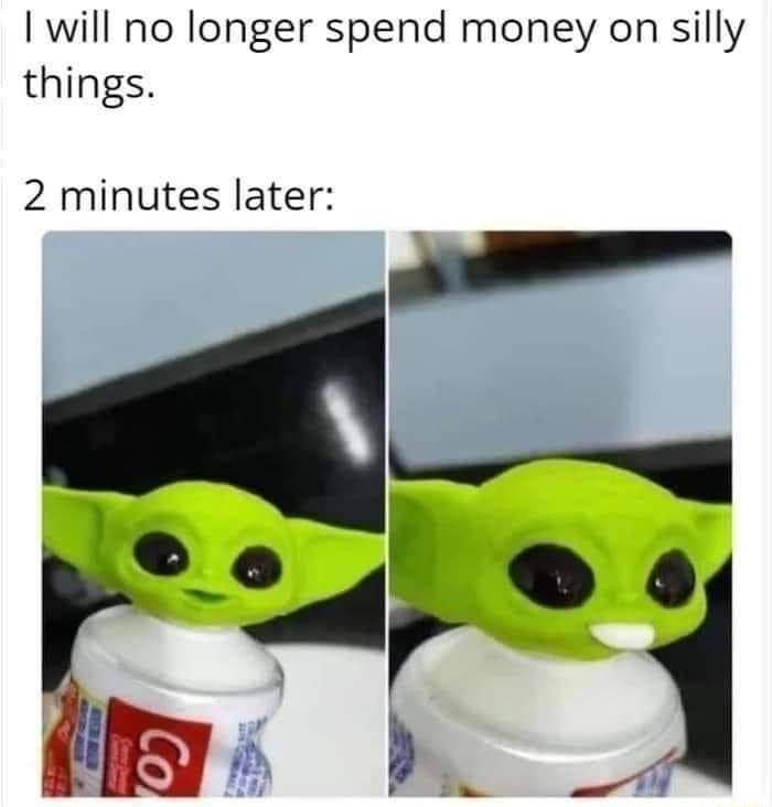 I will no longer spend money on silly things 2 minutes later _ i