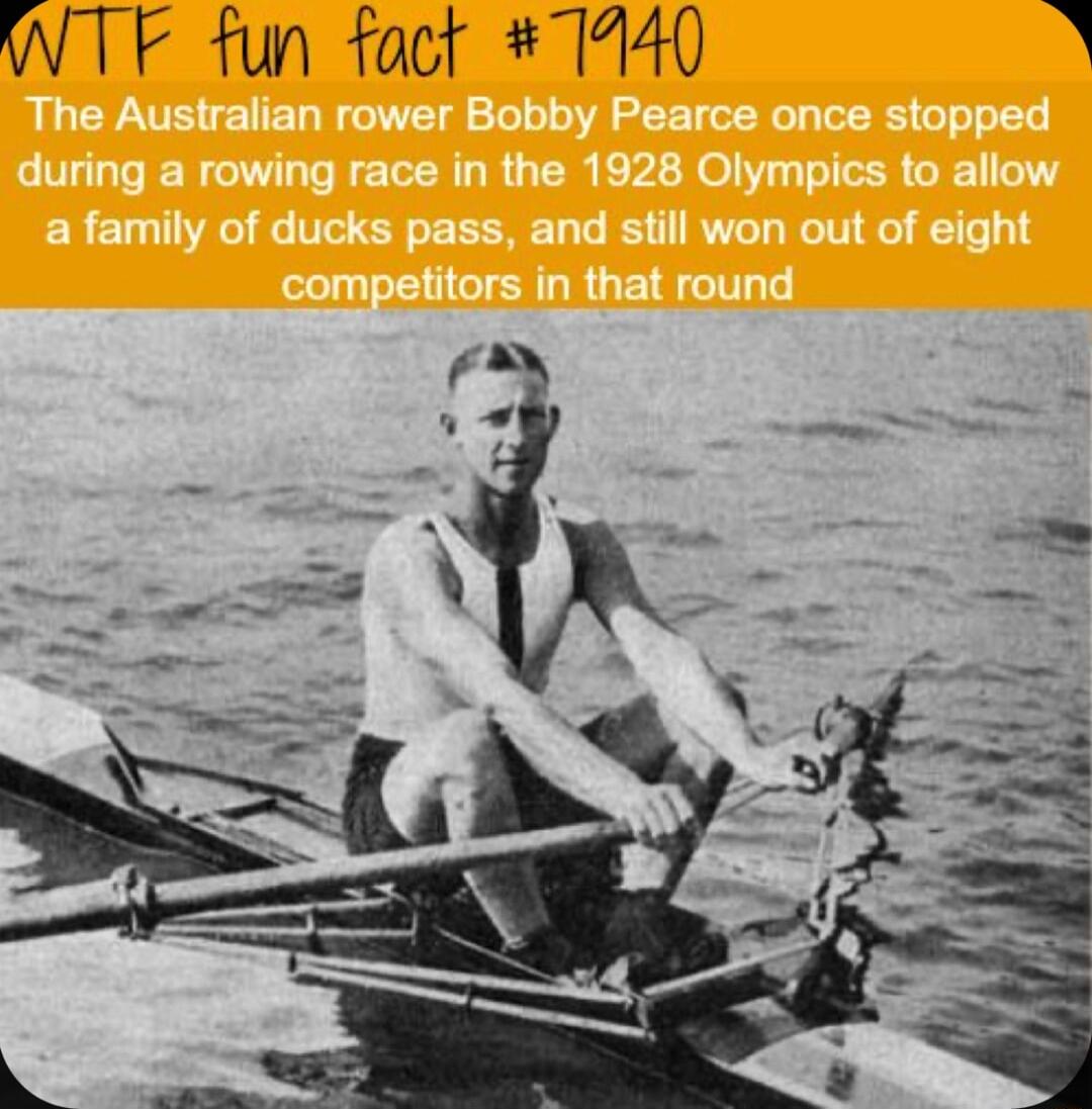 WTF fun fact 7440 i