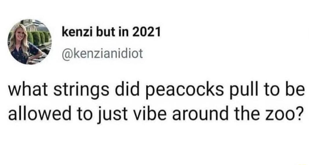 kenzi but in 2021 kenzianidiot what strings did peacocks pull to be allowed to just vibe around the zoo
