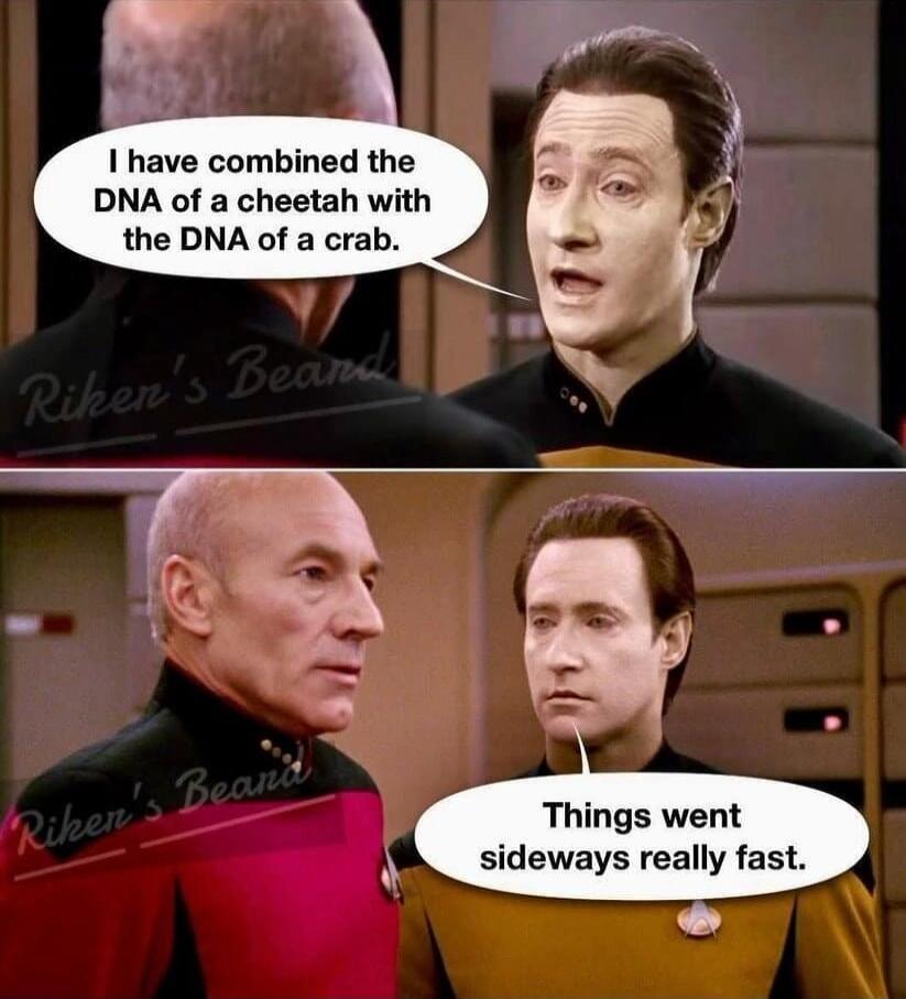 I have combined the DNA of a cheetah with the DNA of a crab.\nThings went sideways really fast.