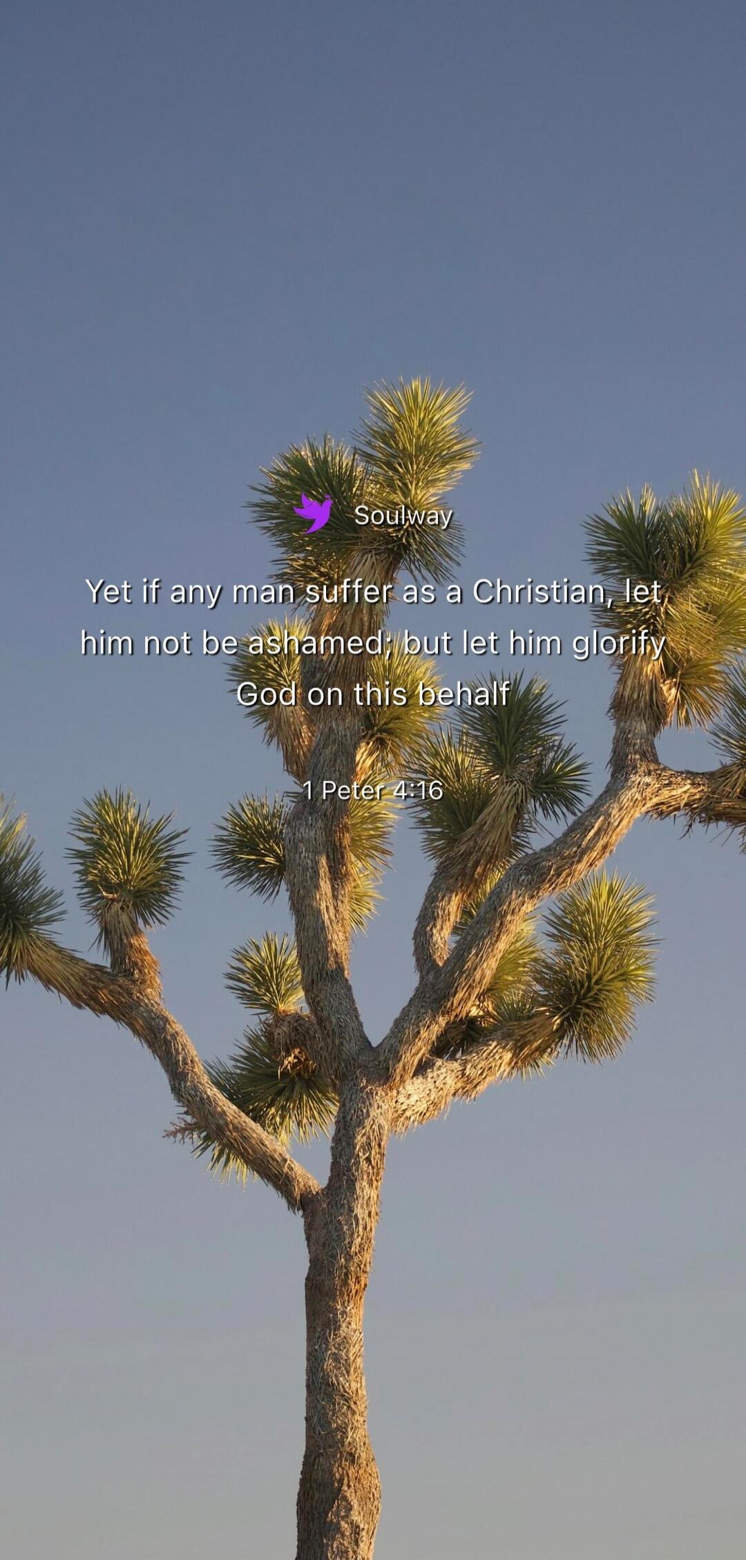 Soulway. Yet if any man suffer as a Christian, let him not be ashamed; but let him glorify God on this behalf. 1 Peter 4:16