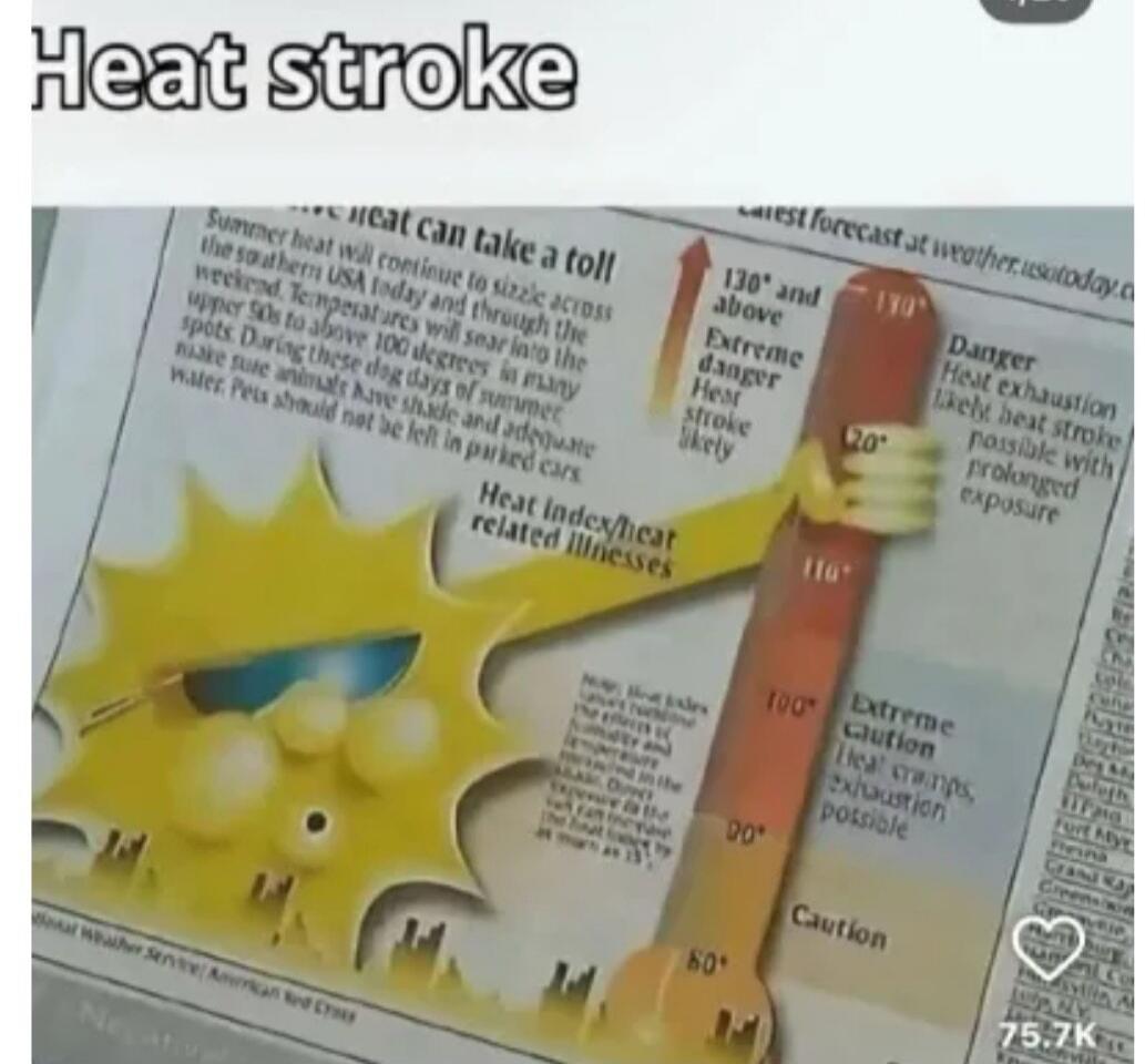 Heat stroke. Summer heat will continue to sizzle across the southern USA today and through the weekend. Temperatures will soar into the upper 90s to above 100 degrees in many spots. During these dog days of summer, make sure animals have shade and adequate water. Pets should not be left in parked cars. Heat index/heat related illnesses. 130° and ab