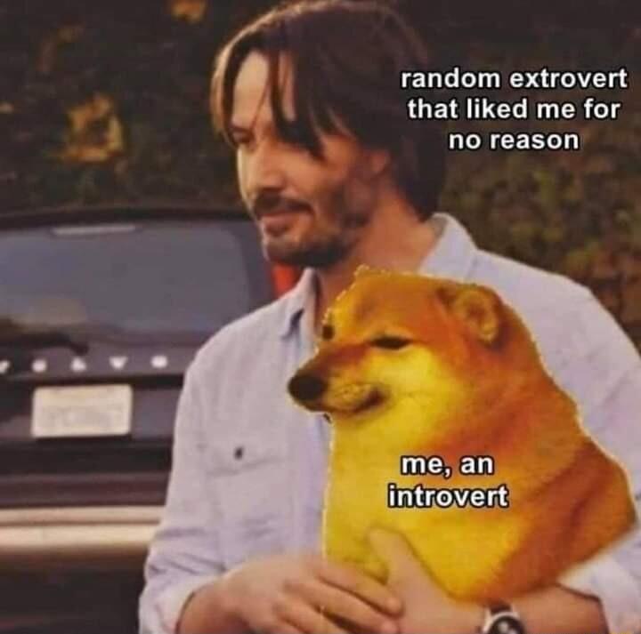 random extrovert that liked me for no reason