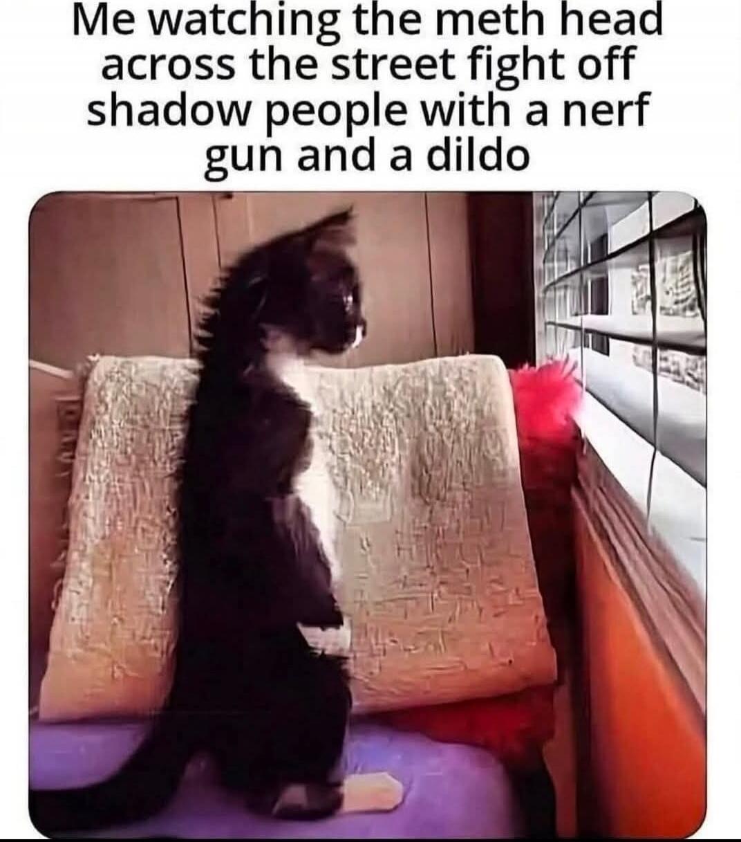 Me watching the meth head across the street fight off shadow people with a nerf gun and a dildo