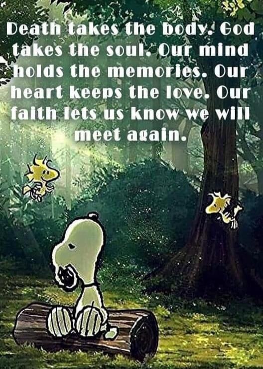 Death takes the body. God takes the soul. Our mind holds the memories. Our heart keeps the love. Our faith lets us know we will meet again.