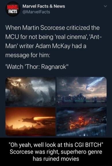 Marvel Facts News v MarvelFacts When Martin Scorcese criticized the MCU for not being real cinema Ant Man writer Adam McKay had a ESSET R OTda TN Watch Thor Ragnarok py Rt oA Oh yeah well look at this CGI BITCH Scorcese was right superhero genre has ruined movies