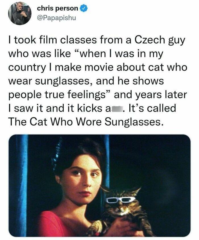 S chris person Papapishu took film classes from a Czech guy who was like when was in my country make movie about cat who wear sunglasses and he shows people true feelings and years later saw it and it kicks ame Its called The Cat Who Wore Sunglasses