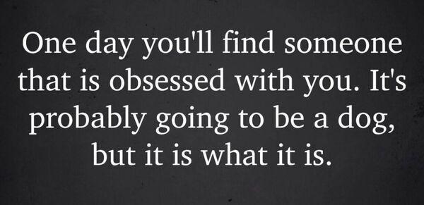 One day youll find someone that is obsessed with you Its probably going to be a dog but it is what it is