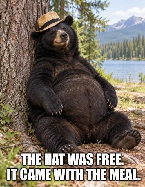 THE HAT WAS FREE. IT CAME WITH THE MEAL.