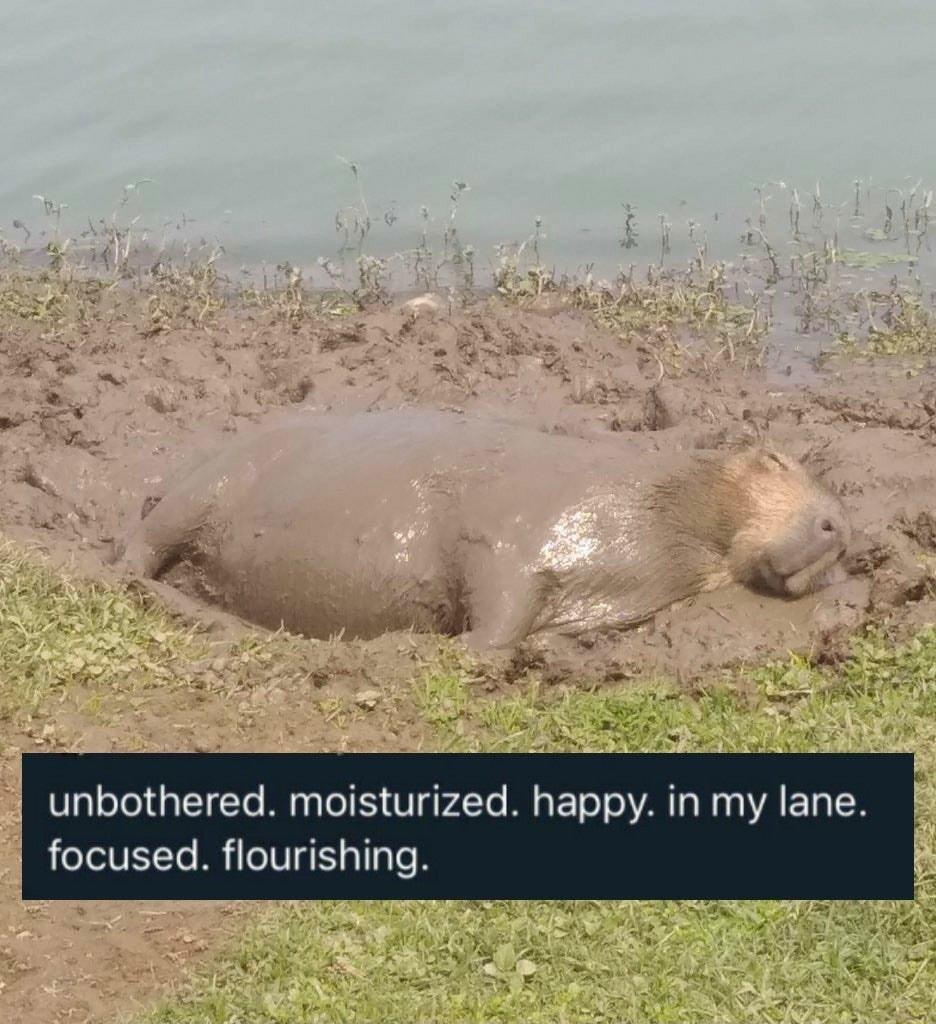 unbothered moisturized happ focused floul