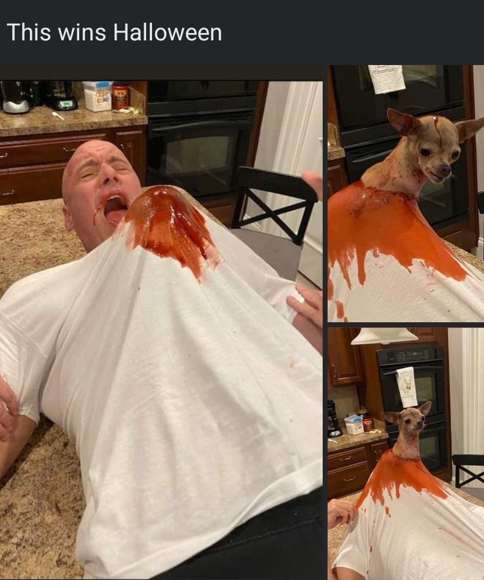 This wins Halloween