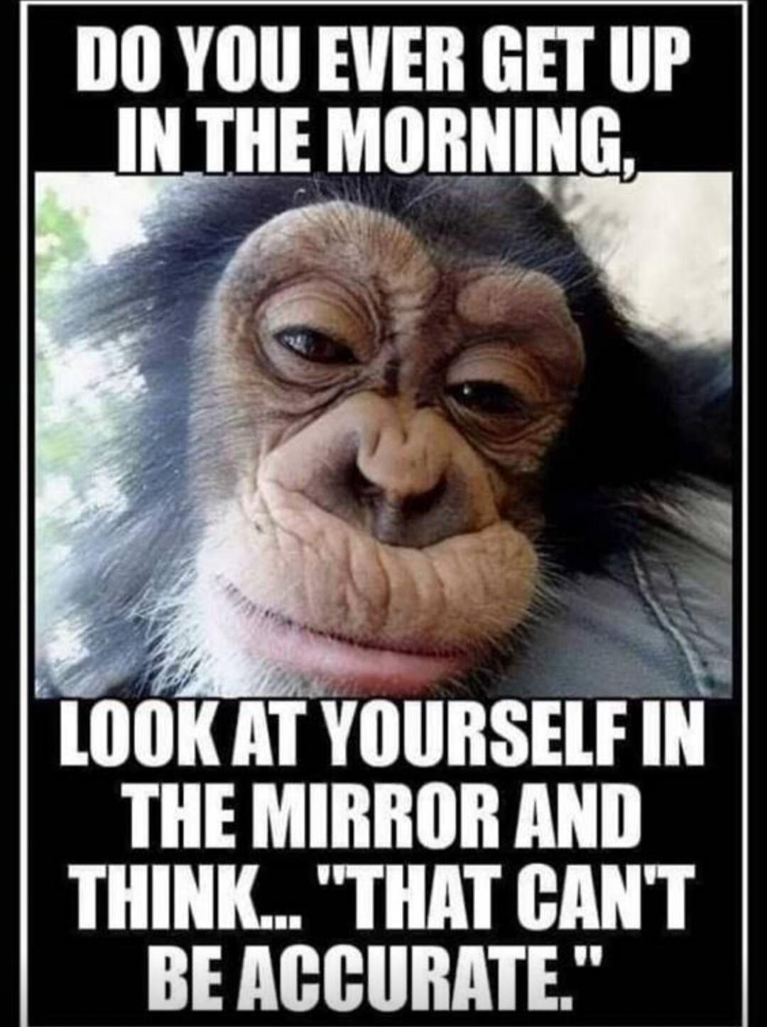 DO YOU EVER GET UP IN THE MORNING, LOOK AT YOURSELF IN THE MIRROR AND THINK... 