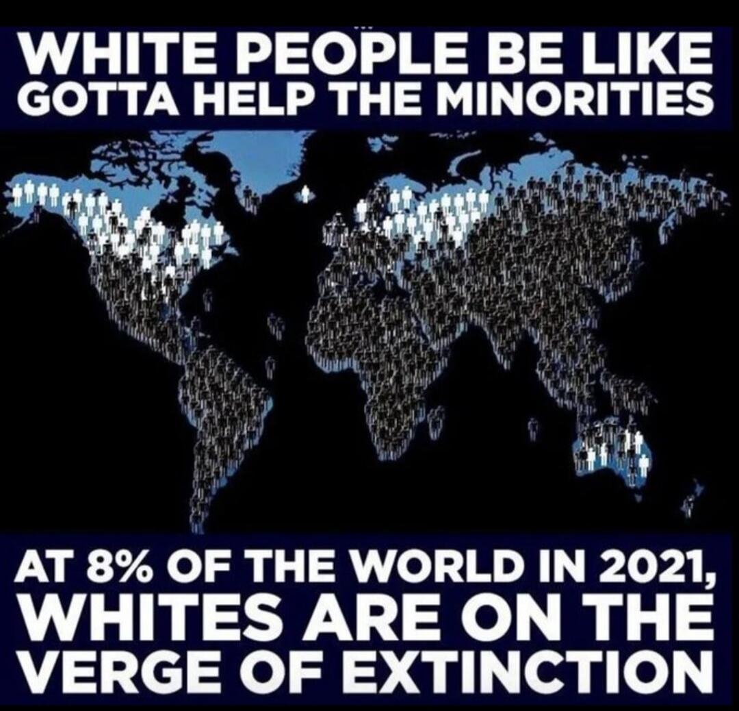 WHITE PEOPLE BE LIKE GOTTA HELP THE MINORITIES AT 8% OF THE WORLD IN 2021, WHITES ARE ON THE VERGE OF EXTINCTION