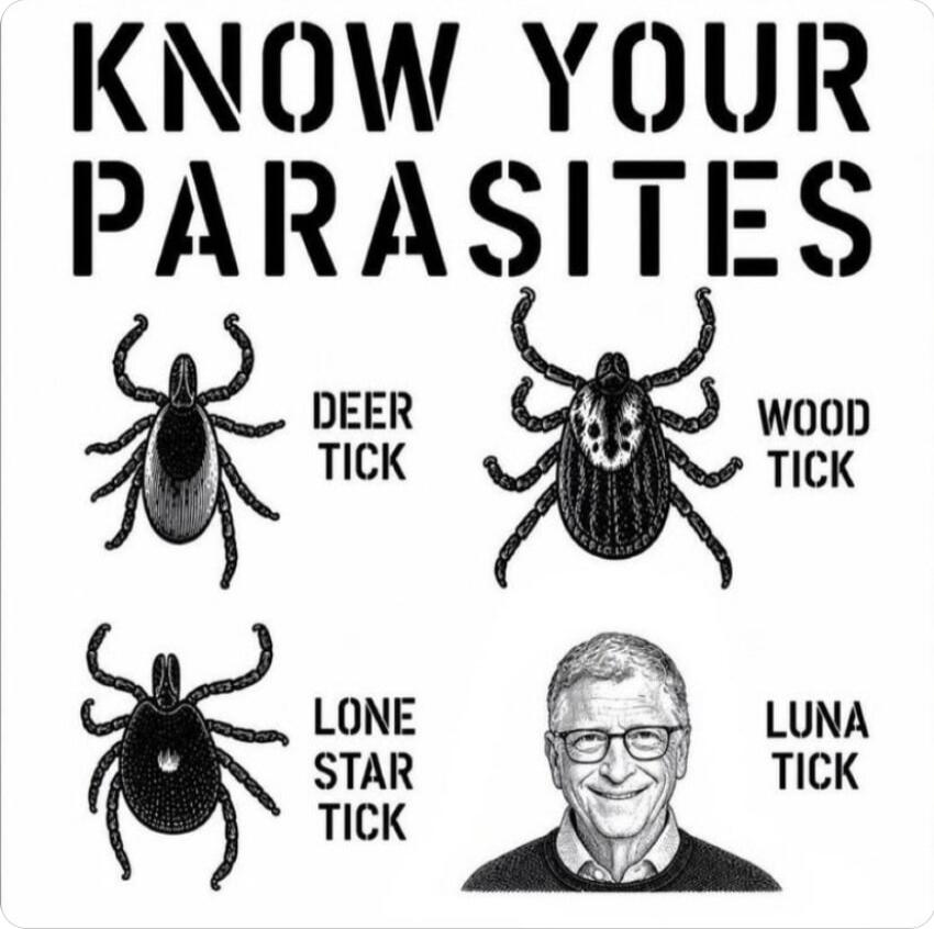 KNOW YOUR PARASITES DEER TICK WOOD TICK LONE STAR TICK LUNA TICK
