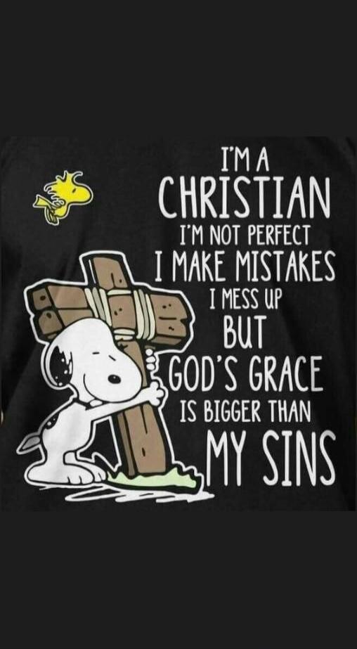 I'm a Christian I'm not perfect I make mistakes I mess up but God's grace is bigger than my sins