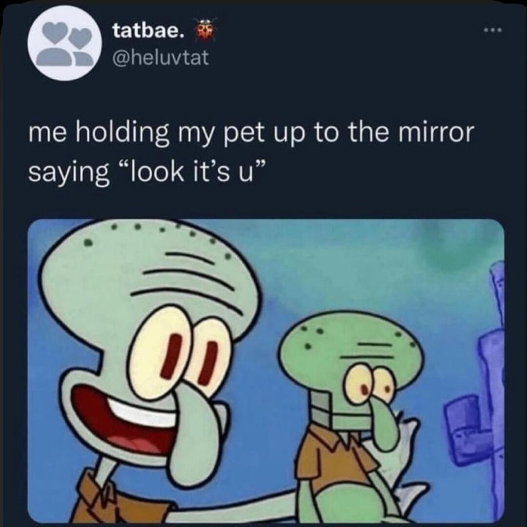 tatbae. @heluvtat me holding my pet up to the mirror saying 
