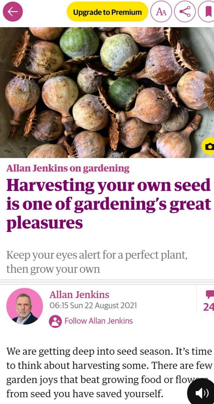 I N Nl UpgradetoPremium A 1 N R Allan Jenkinson g is one of gardenings great pleasures Keep your eyes alert for a perfect plant then grow your own Allan Jenkins 0615 Sun 22 August 2021 i 2 Follow Allan Jenkins g N a We are getting deep into seed season Its time to think about harvesting some There are few garden joys that beat growing food or flovygms from seed you have saved yourself